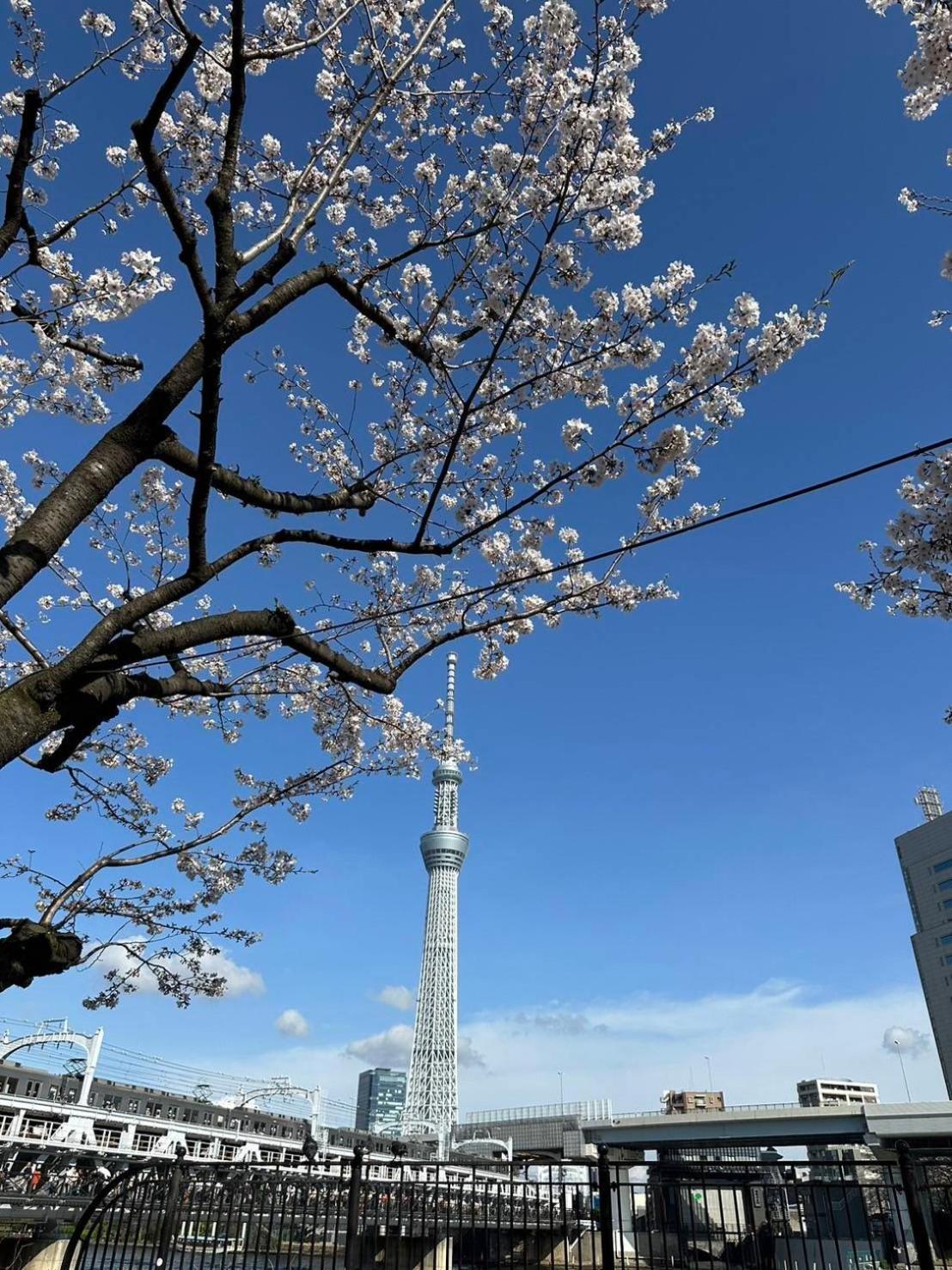 東京雷門ー千の森asakusa Токіо Екстер'єр фото